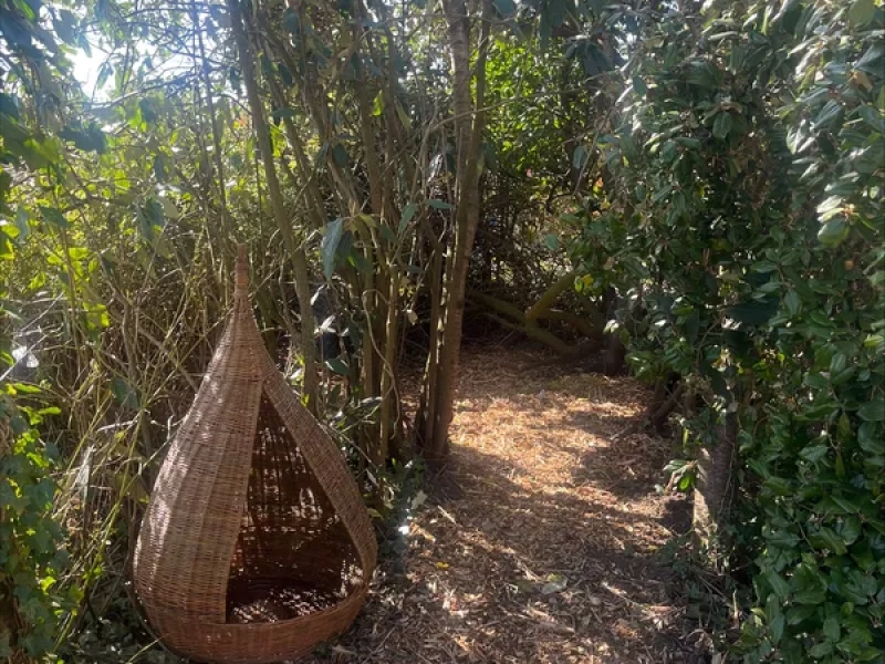 forest-school